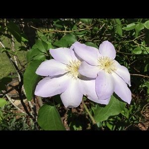 Meet your Posher, Annette