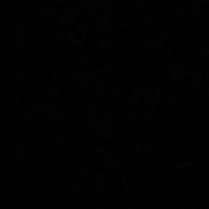 Meet your Posher, Jerry