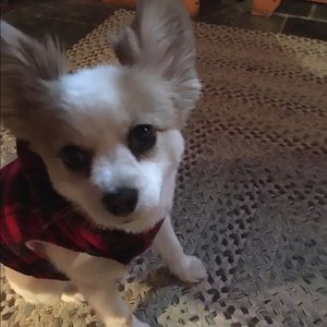 Meet your Posher, Diane