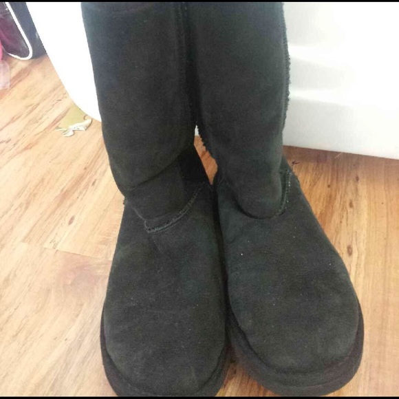 Authentic UGG Class Tall Boot