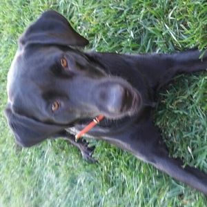 Meet your Posher, Darci