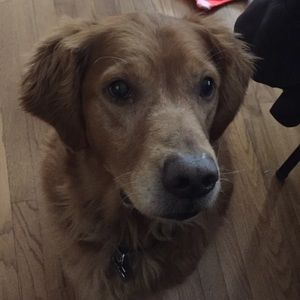 Meet your Posher, Chelsea