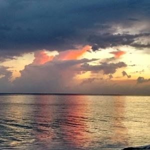 Meet your Posher, Doris