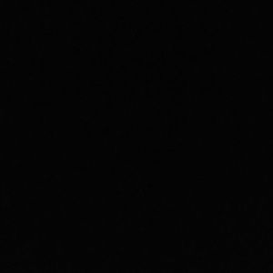 Meet your Posher, Kelsie