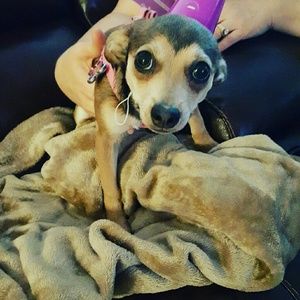 Meet your Posher, Alina