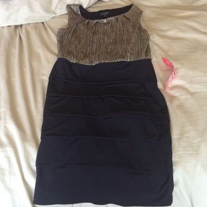 Size 6 Enfocus Studio Dress