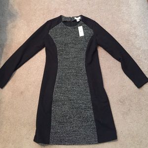 NWT black and gray Loft Dress