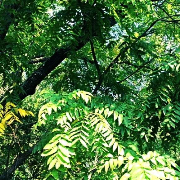 Meet your Posher, :)