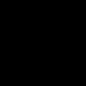 Meet your Posher, Nicka