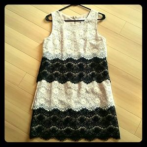 Knee Length New Dress