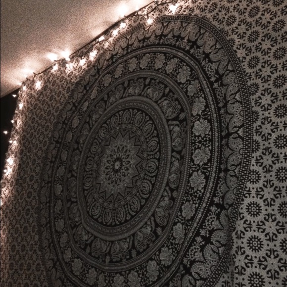 Meet your Posher, Bailey - Picture 1 of 1