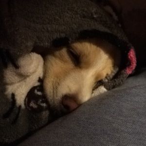 Meet your Posher, Hannah