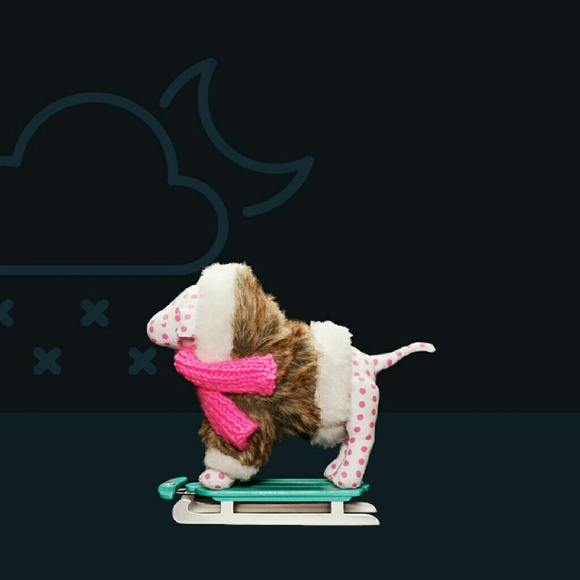 Meet your Posher, Emily - Picture 2 of 2