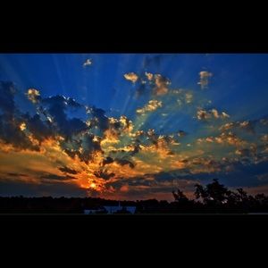 Meet your Posher, Reggie