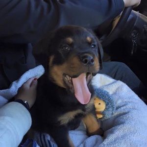 Meet your Posher, Leah