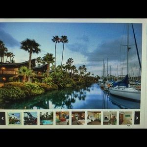 Meet your Posher, Dorothy