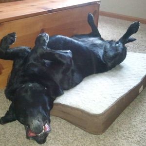 Meet your Posher, Sheri