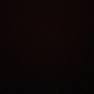 Meet your Posher, Monique