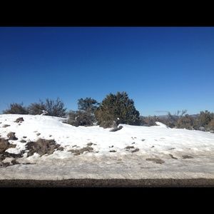 Meet your Posher, Nicolle