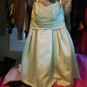 Bridesmaids dress David's Bridal