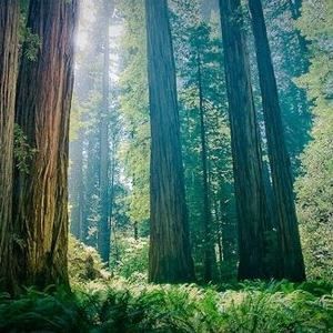 Meet your Posher, Therese