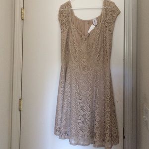 Beige/ taupe lace skater dress