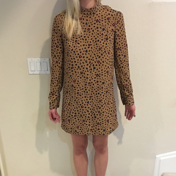 Long Sleeved Leopard Print Dress