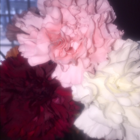 Meet your Posher, Meghan - Picture 1 of 1