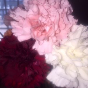 Meet your Posher, Meghan