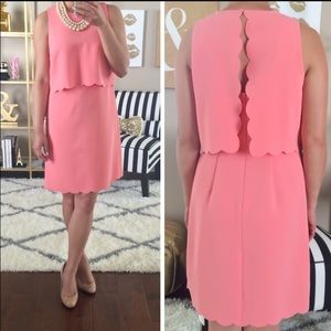 NWT LOFT size 2 peach scallop dress