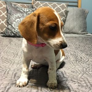 Meet your Posher, Kennedy