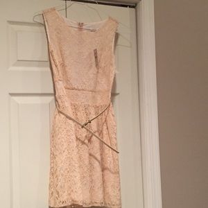Loft dress size 4 P