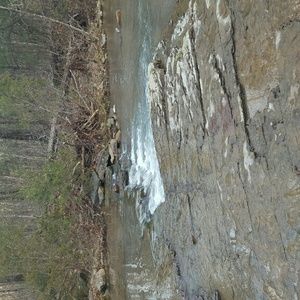 Meet your Posher, Shelly