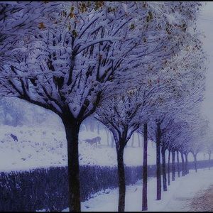 Meet your Posher, Stefanie