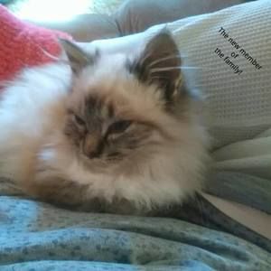 Meet your Posher, Nancy