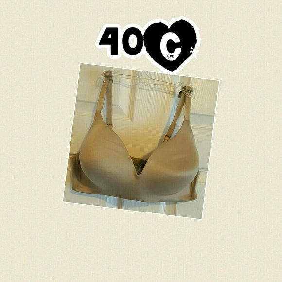 **Size 40C bra**