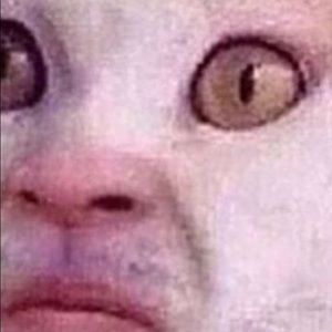 Meet your Posher, Johnny