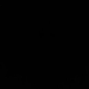 Meet your Posher, Bobbie