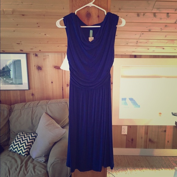 Blue cowl neck dress.