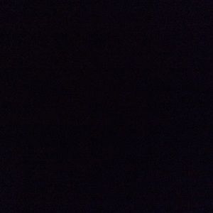 Meet your Posher, Patty