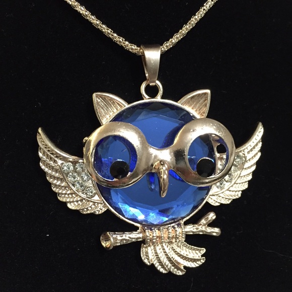 Jewelry - Gold Tone Long Chain Owl Sweater Necklace ~ Blue