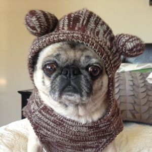 Meet your Posher, Devyn