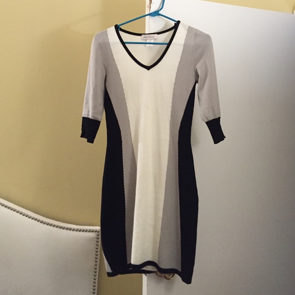 Stitch Between  Dresses & Skirts - Cute sweater dress.