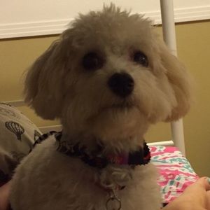 Meet your Posher, Rachel