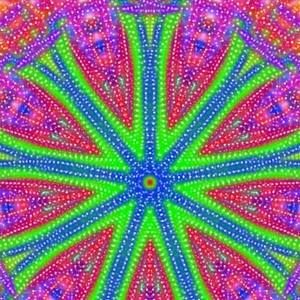 Meet your Posher, Iva