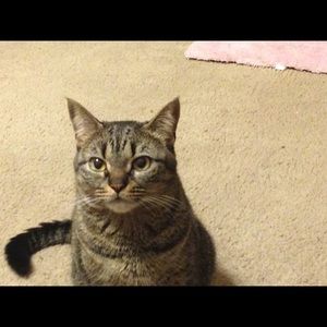 Meet your Posher, Hilda