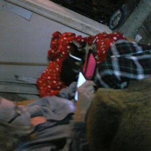 Meet your Posher, Dawn