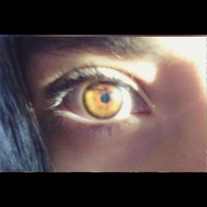 Meet your Posher, Dani