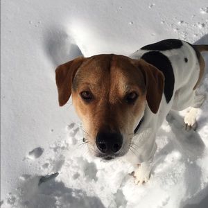 Meet your Posher, Katie