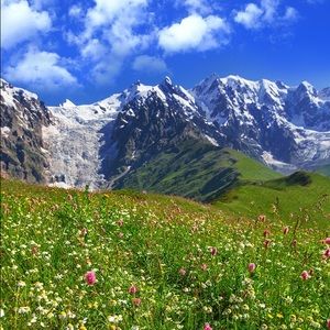 Meet your Posher, Grace